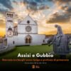 Assisi e Gubbio