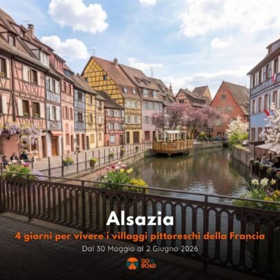 Viaggio bus Alsazia