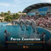 Zoomarine 31 maggio