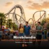 Viaggio a Mirabilandia 23 agosto 2026