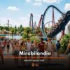 Mirabilandia 1 ago