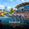 Zoomarine 2 agosto