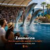 Viaggio Zoomarine 20 Settembre