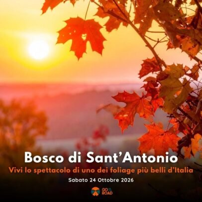 Foliage Bosco di Sant'Antonio