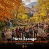 Foliage Parco Sponga e sagra delle castagne di Canistro 25 ottobre