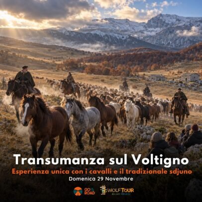 Evento: Transumanza dei Cavalli al Voltigno