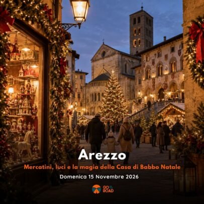 Viaggio Arezzo 15 Novembre