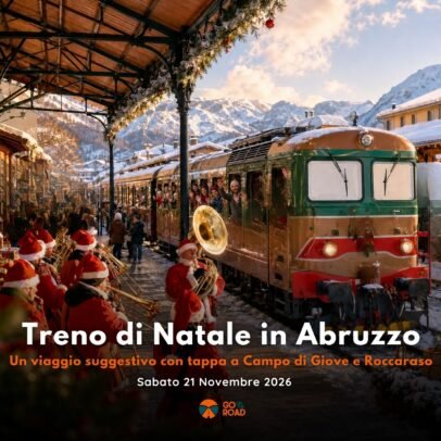Viaggio Trenino 21 Novembre