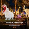 Viaggio Gaeta e Sperlonga 20 dicembre